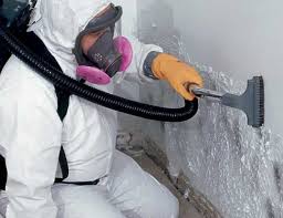 Best Water Damage & Mold Remediation  in Winchester, MO